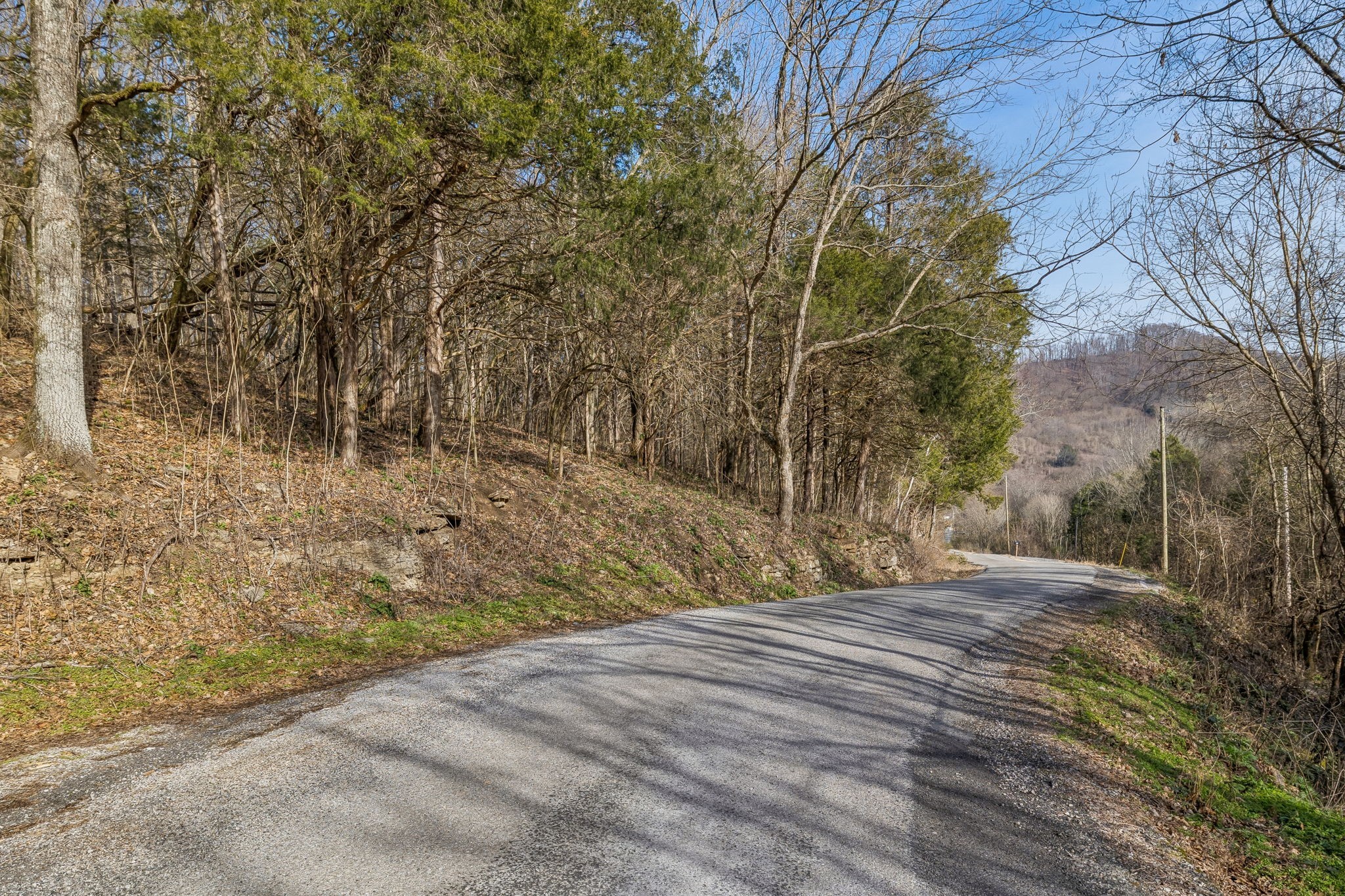 0 Dyer Branch Road Carthage, TN 37030 - Photo 4 of 33