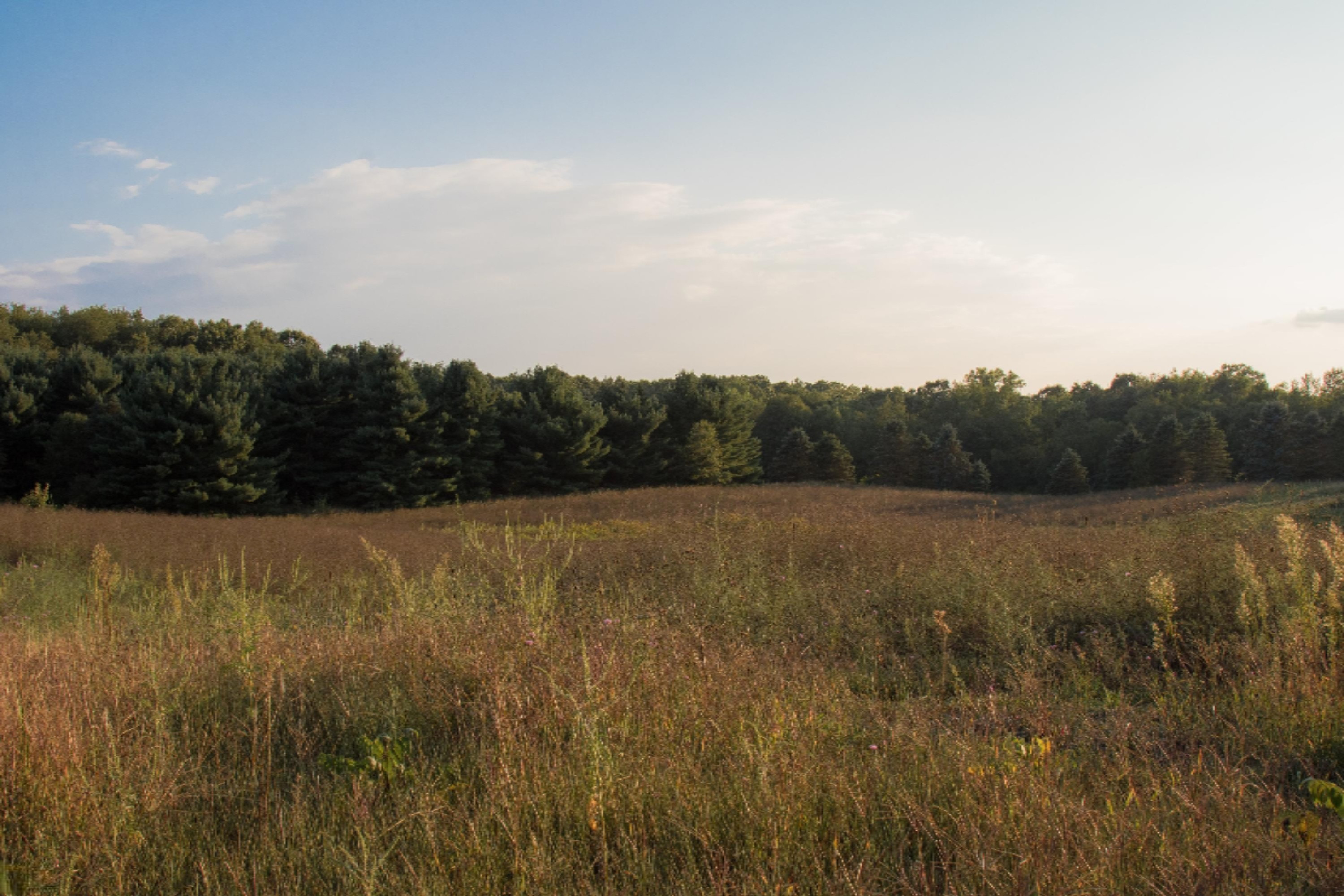 7107 West R Avenue Kalamazoo, MI 49009 - Photo 29 of 37 8 30 2017_MS_Open Field 2-min