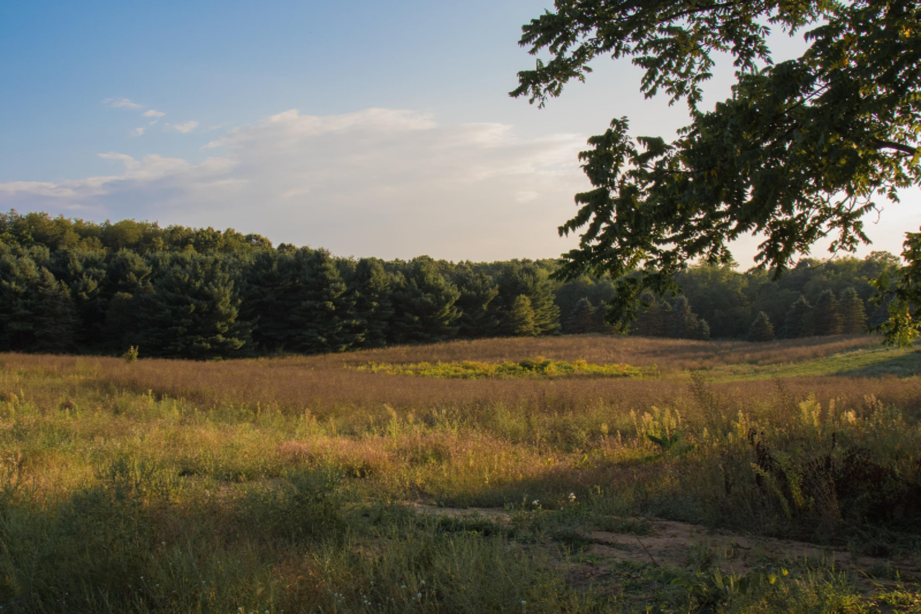 7107 West R Avenue Kalamazoo, MI 49009 - Photo 33 of 37 8 30 2017_MS_Open Field-min