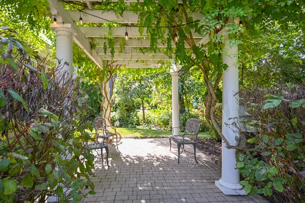 a view of yard