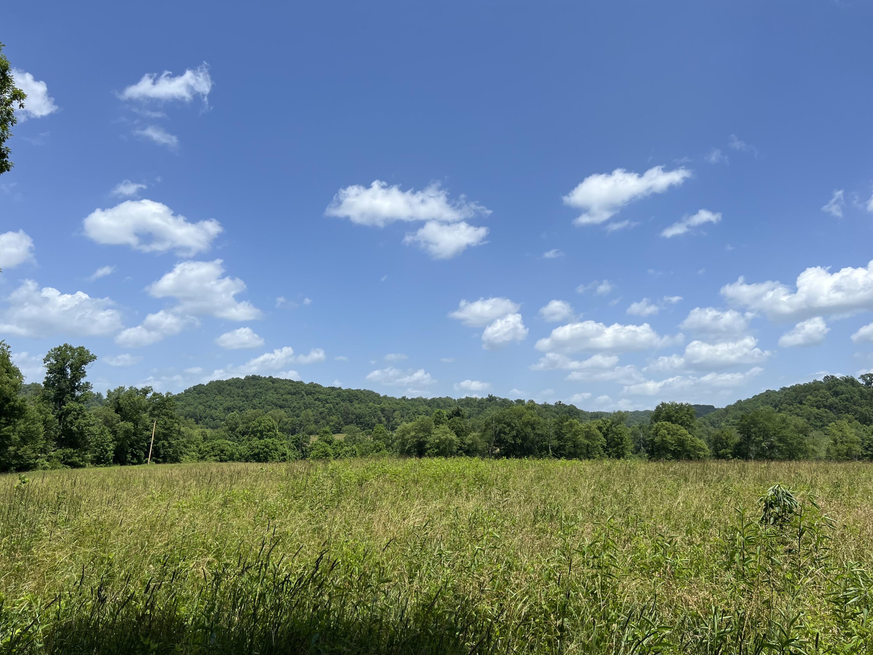 999 Big Barn Road Tyner, KY 40486 - Photo 21 of 30 IMG_2081