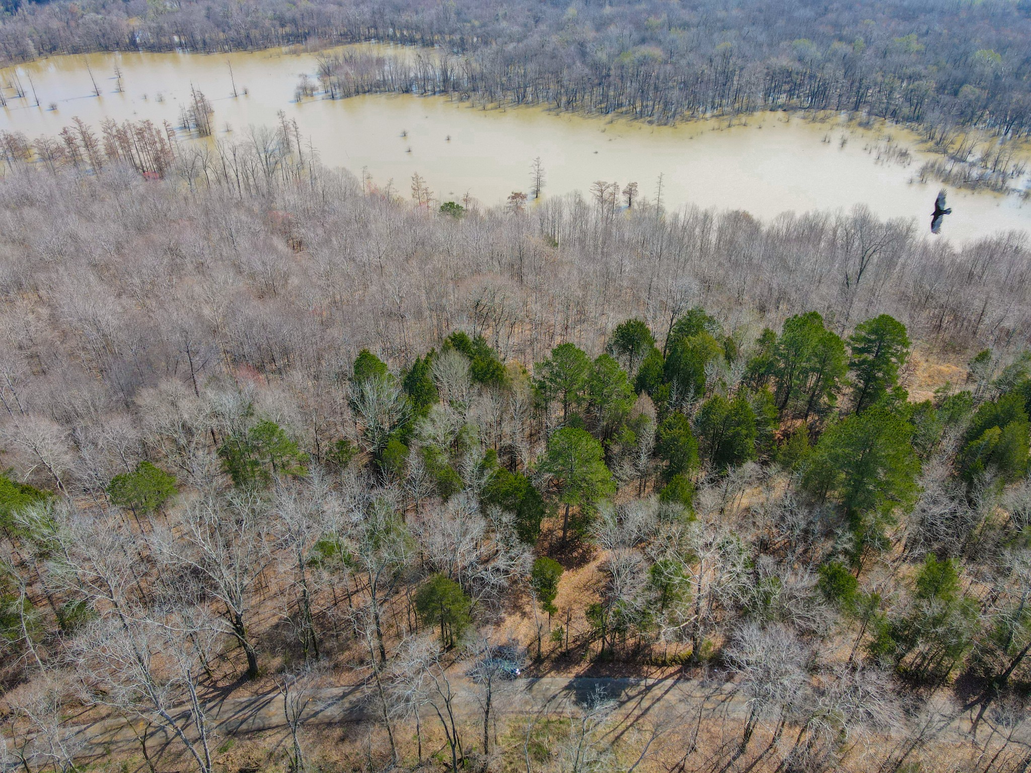 0 Snake Creek Loop Adamsville, TN 38310 - Photo 1 of 5 Gallery Image 1