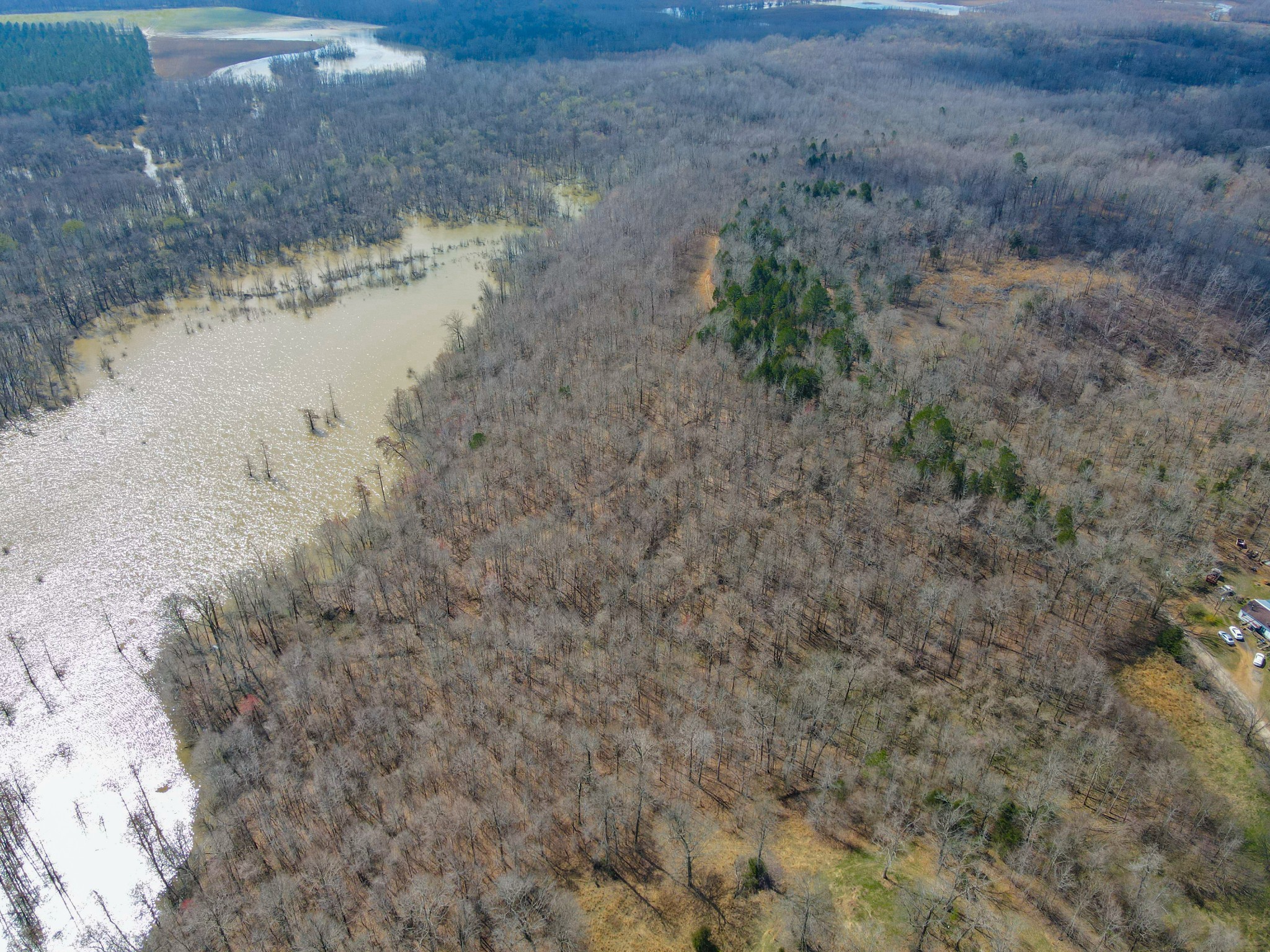 0 Snake Creek Loop Adamsville, TN 38310 - Photo 3 of 5 Gallery Image 3