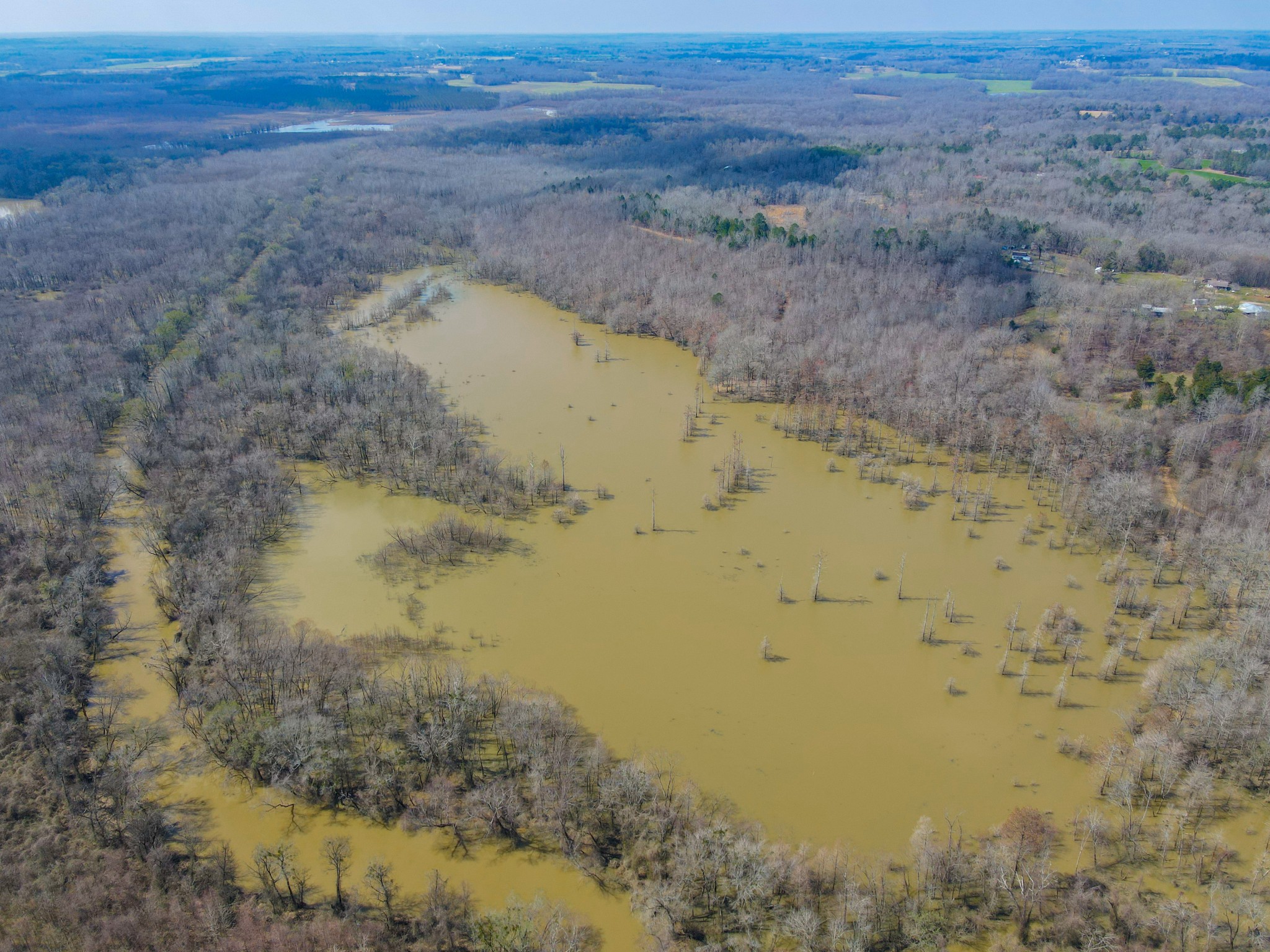 0 Snake Creek Loop Adamsville, TN 38310 - Photo 4 of 5 Gallery Image 4