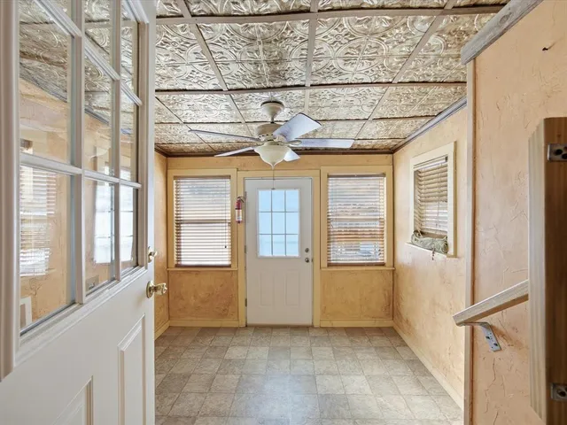 a view of a yard with plants and trees