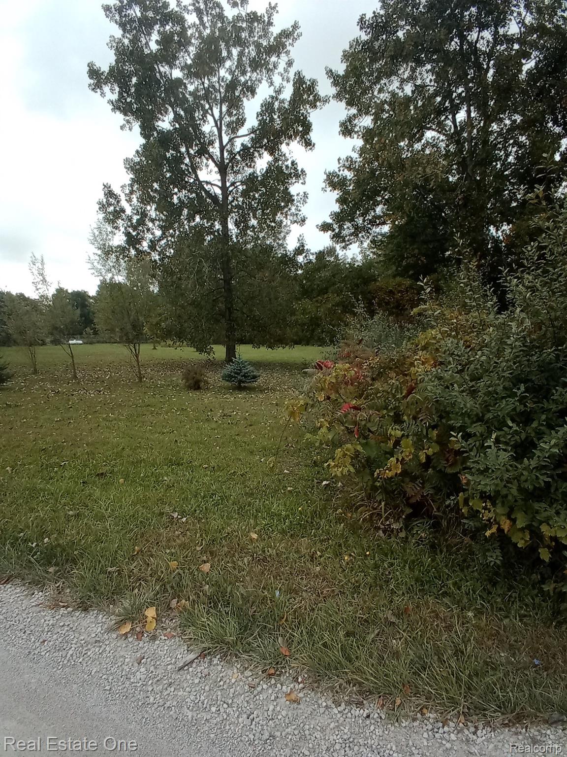 0 Wales Ridge Road Goodells, MI 48027 - Photo 1 of 4 Gallery Image 1