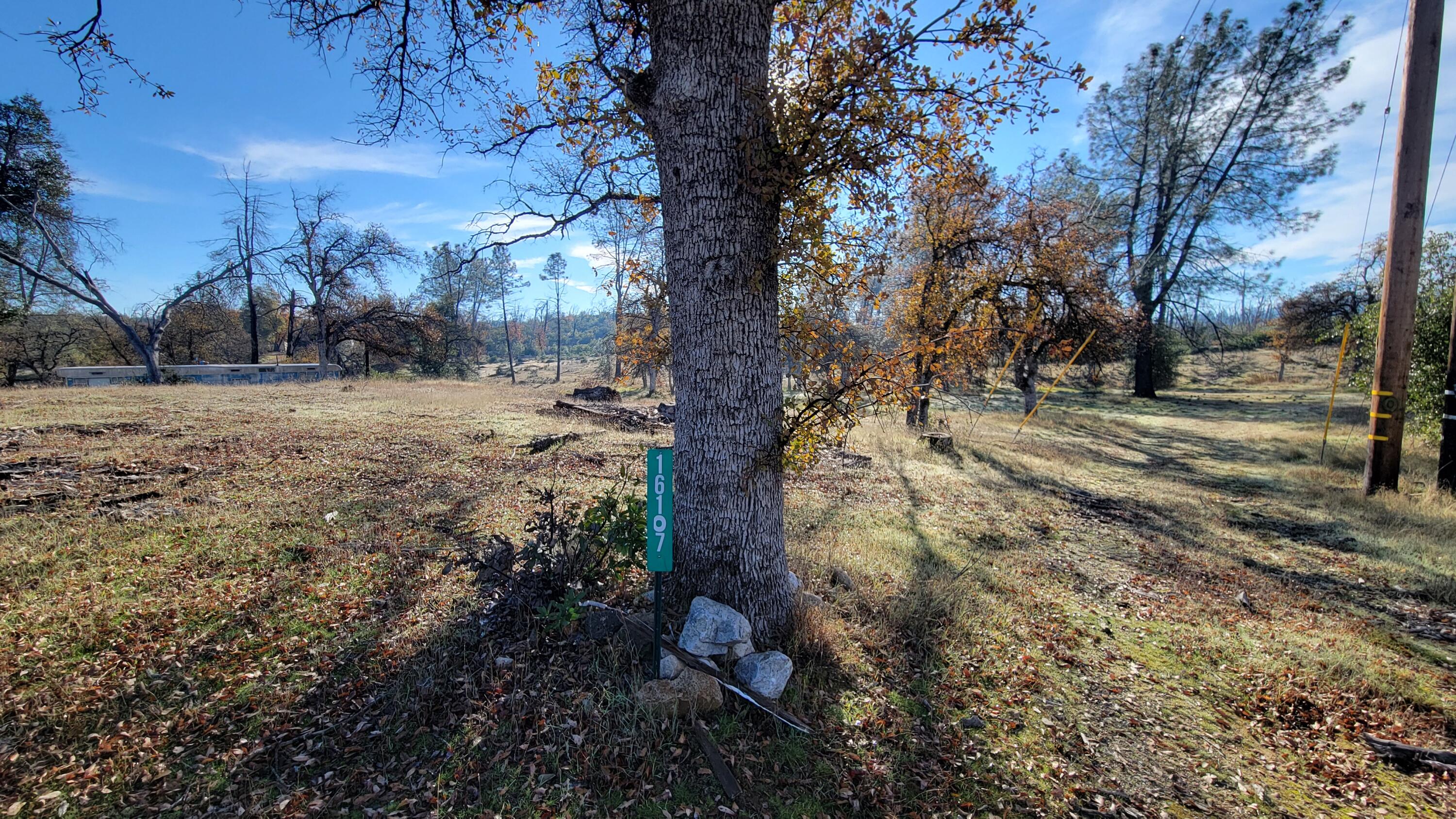 16107 Cagle Lane Redding, CA 96001 - Photo 12 of 20 a backyard of a house with large trees