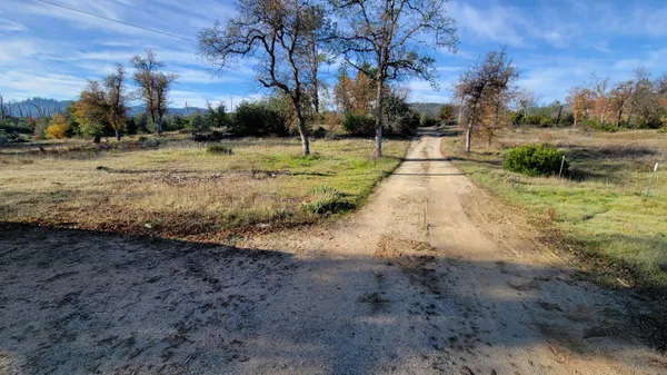 a view of dirt yard with large trees