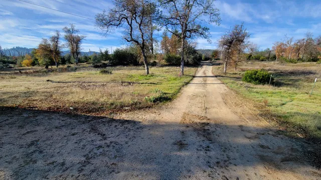 a view of dirt yard with large trees