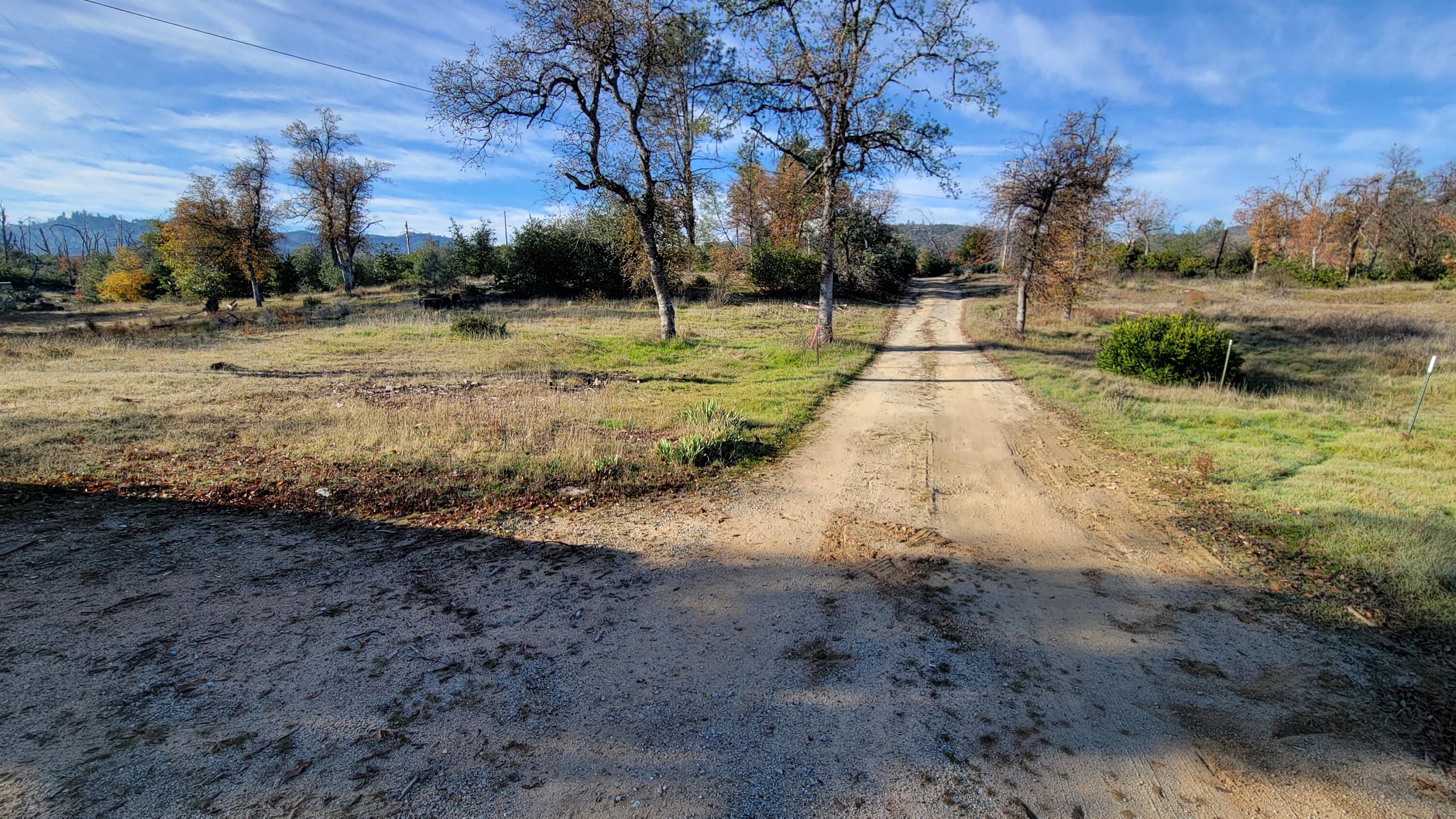 16107 Cagle Lane Redding, CA 96001 - Photo 13 of 20 a view of dirt yard with large trees