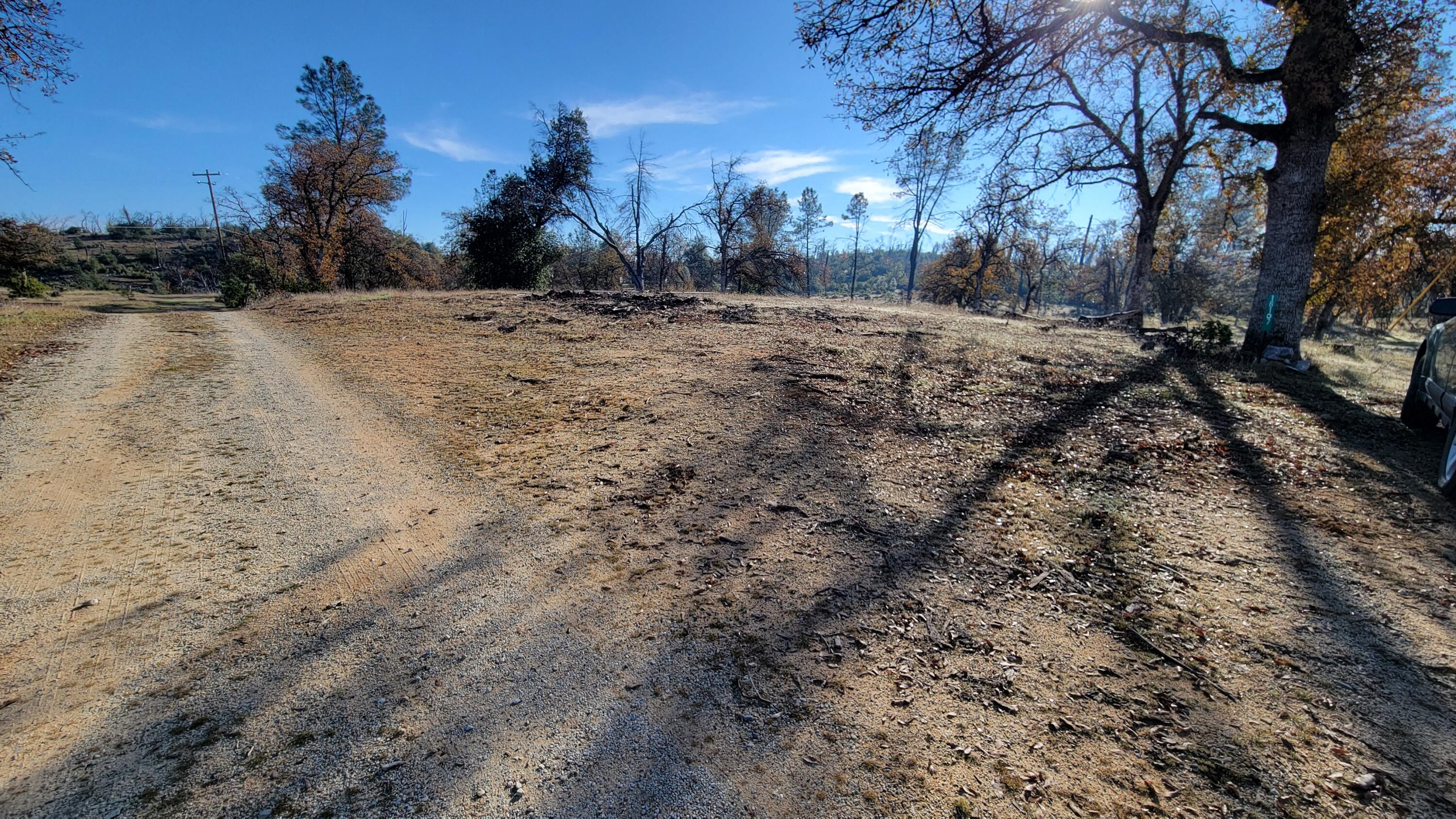 16107 Cagle Lane Redding, CA 96001 - Photo 14 of 20 a view of dirt yard with a large tree