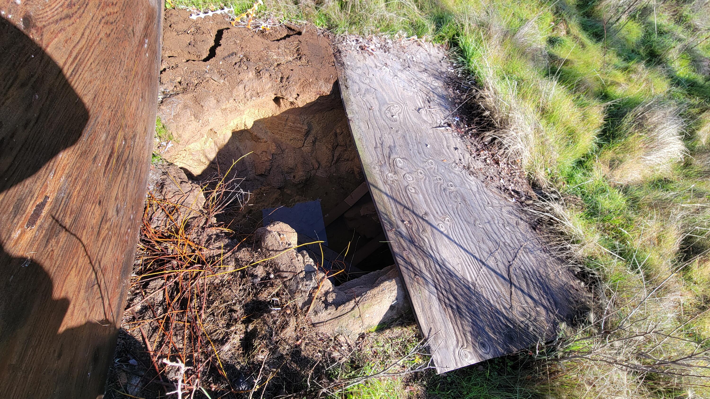 16107 Cagle Lane Redding, CA 96001 - Photo 17 of 20 a view of entryway with wooden wall