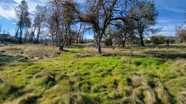 a view of a yard with swimming pool