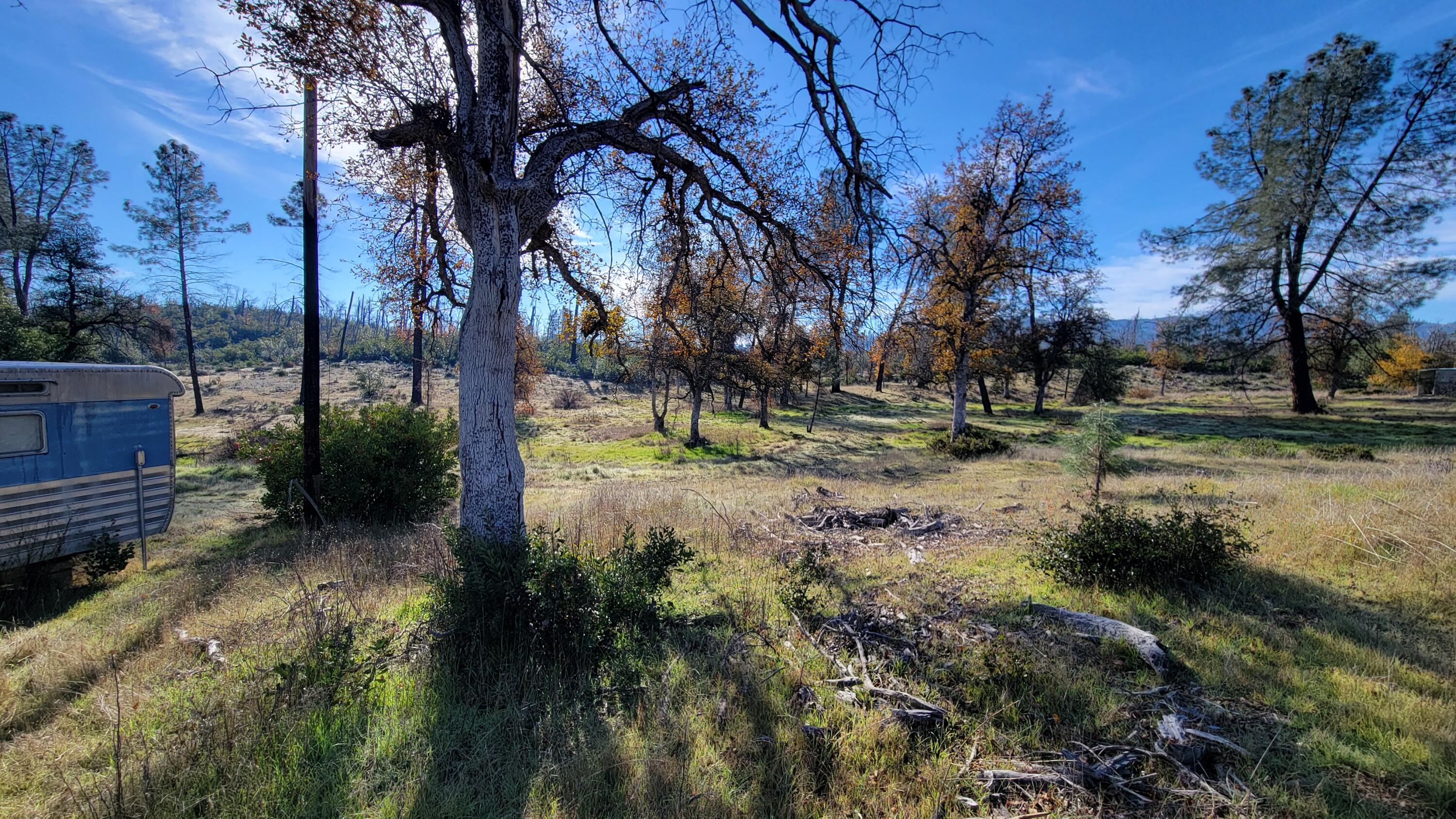 16107 Cagle Lane Redding, CA 96001 - Photo 19 of 20 a view of a yard with swimming pool