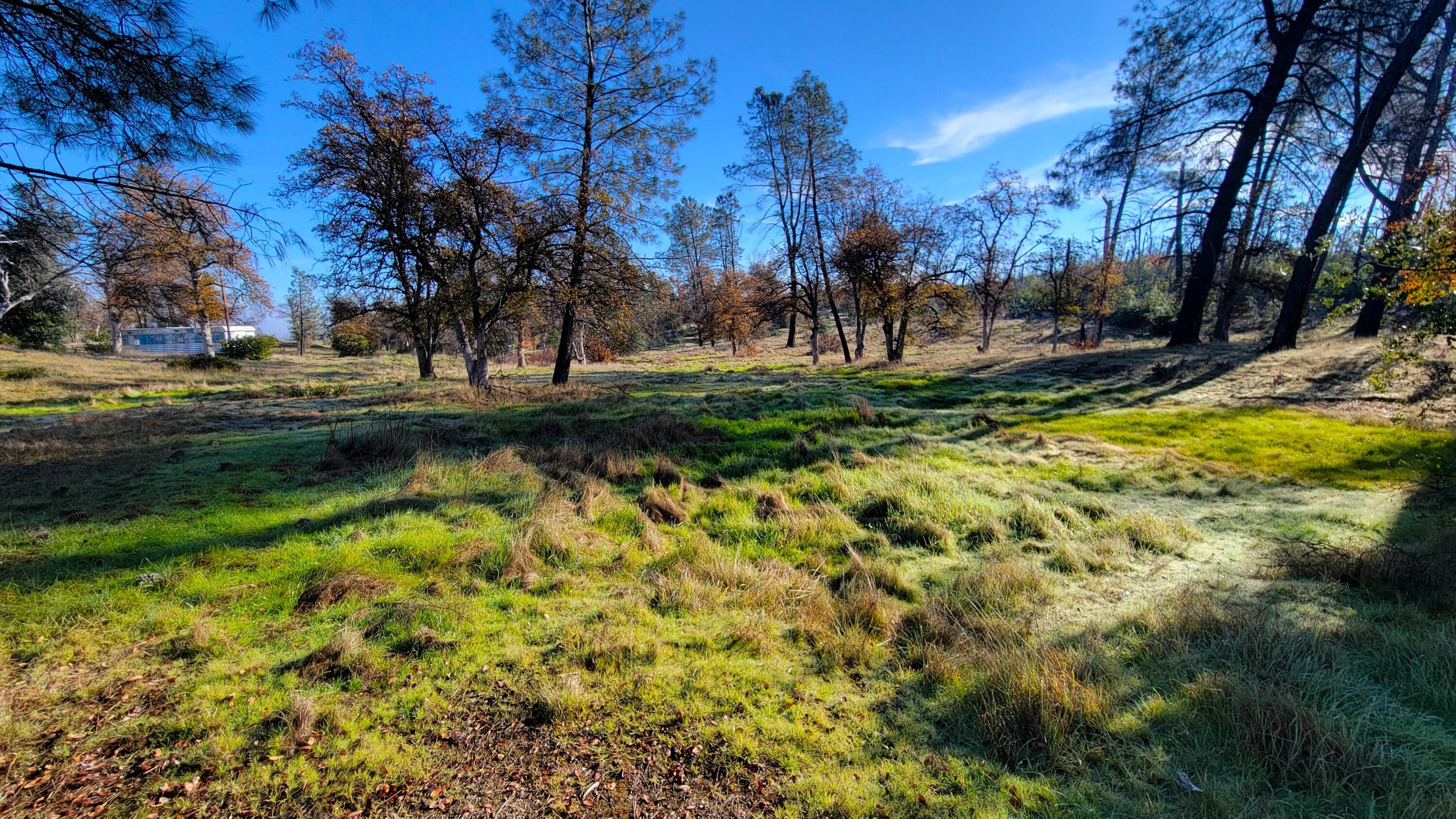 16107 Cagle Lane Redding, CA 96001 - Photo 5 of 20 a view of a yard with a fountain
