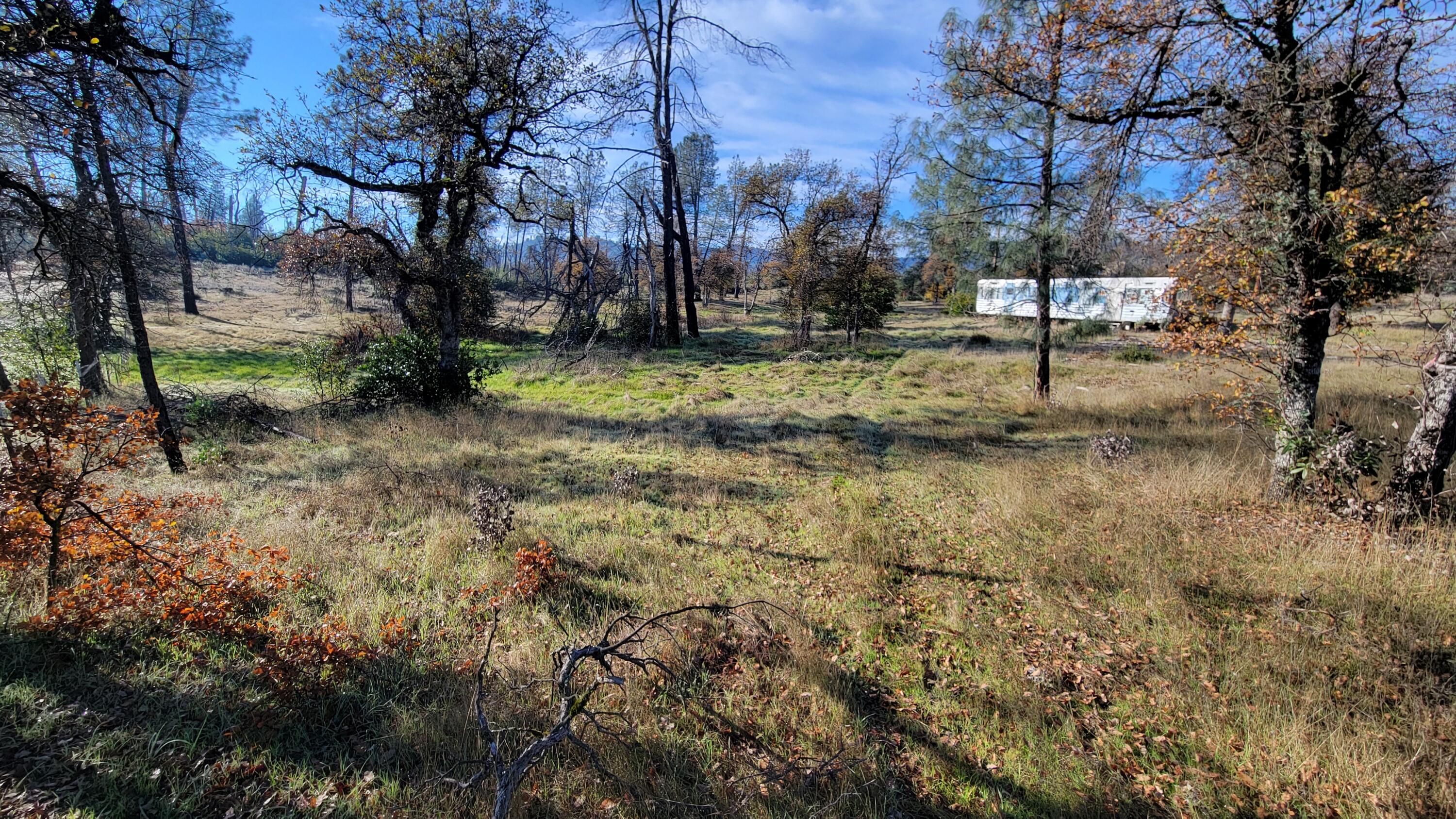 16107 Cagle Lane Redding, CA 96001 - Photo 6 of 20 a view of backyard with green space