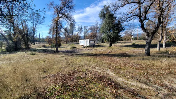 a view of a yard with a tree