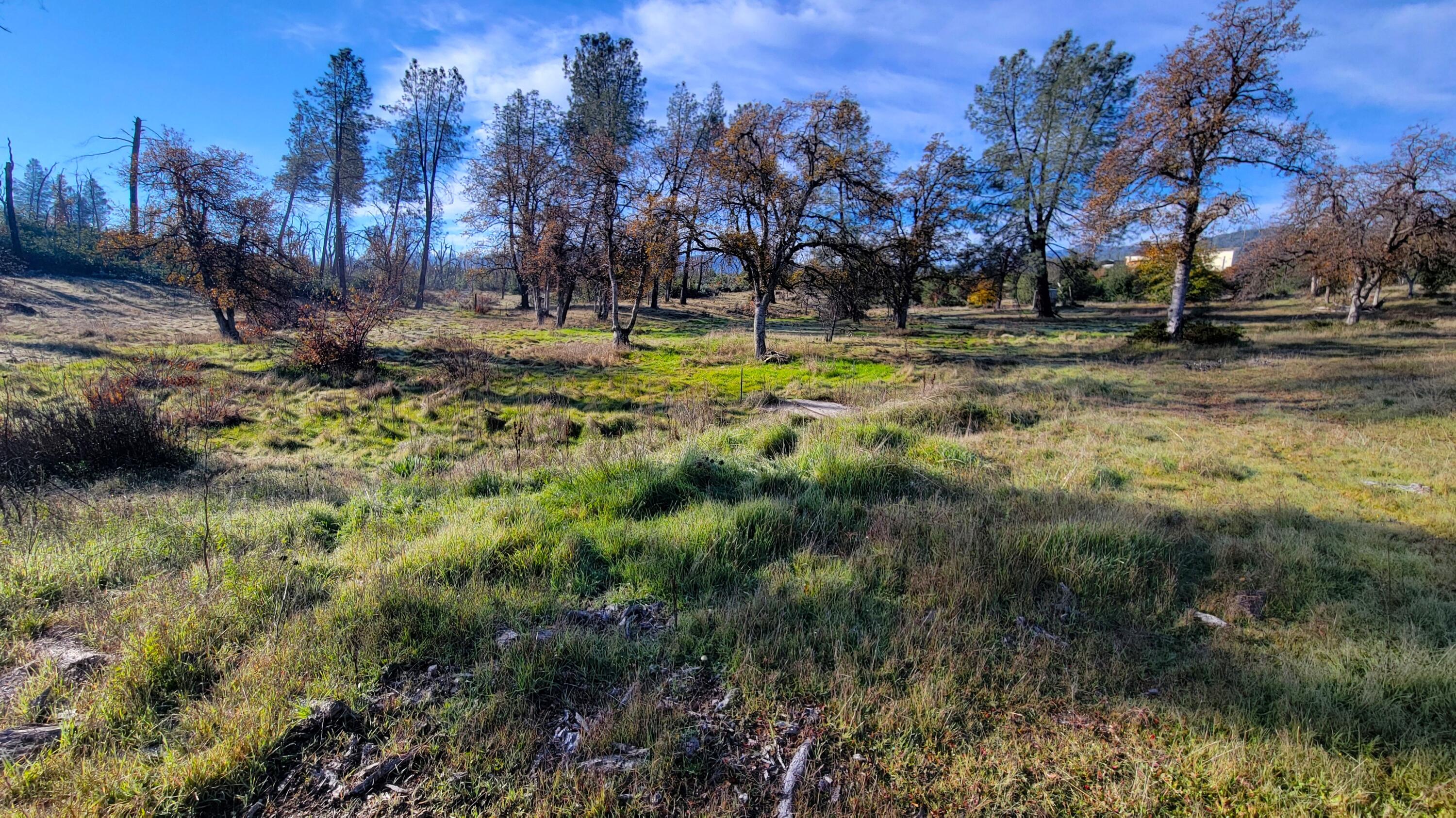 16107 Cagle Lane Redding, CA 96001 - Photo 8 of 20 a view of park