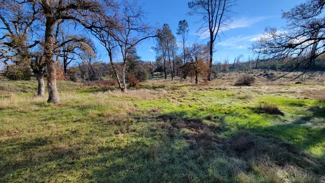 a fire hydrant in the middle of a field
