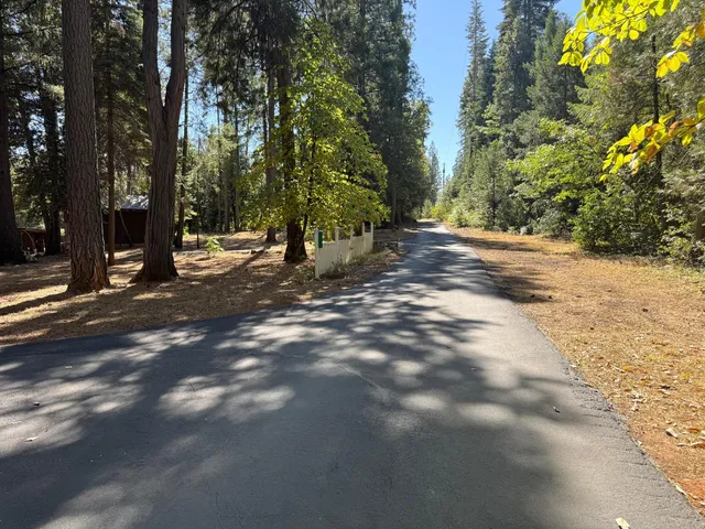 a view of a roof deck with large trees and wooden fence