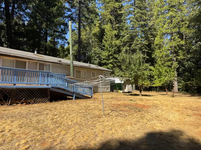 a street view with large trees