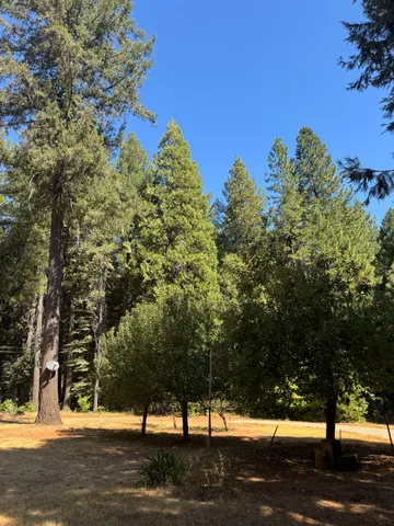 a living room with furniture and a lamp