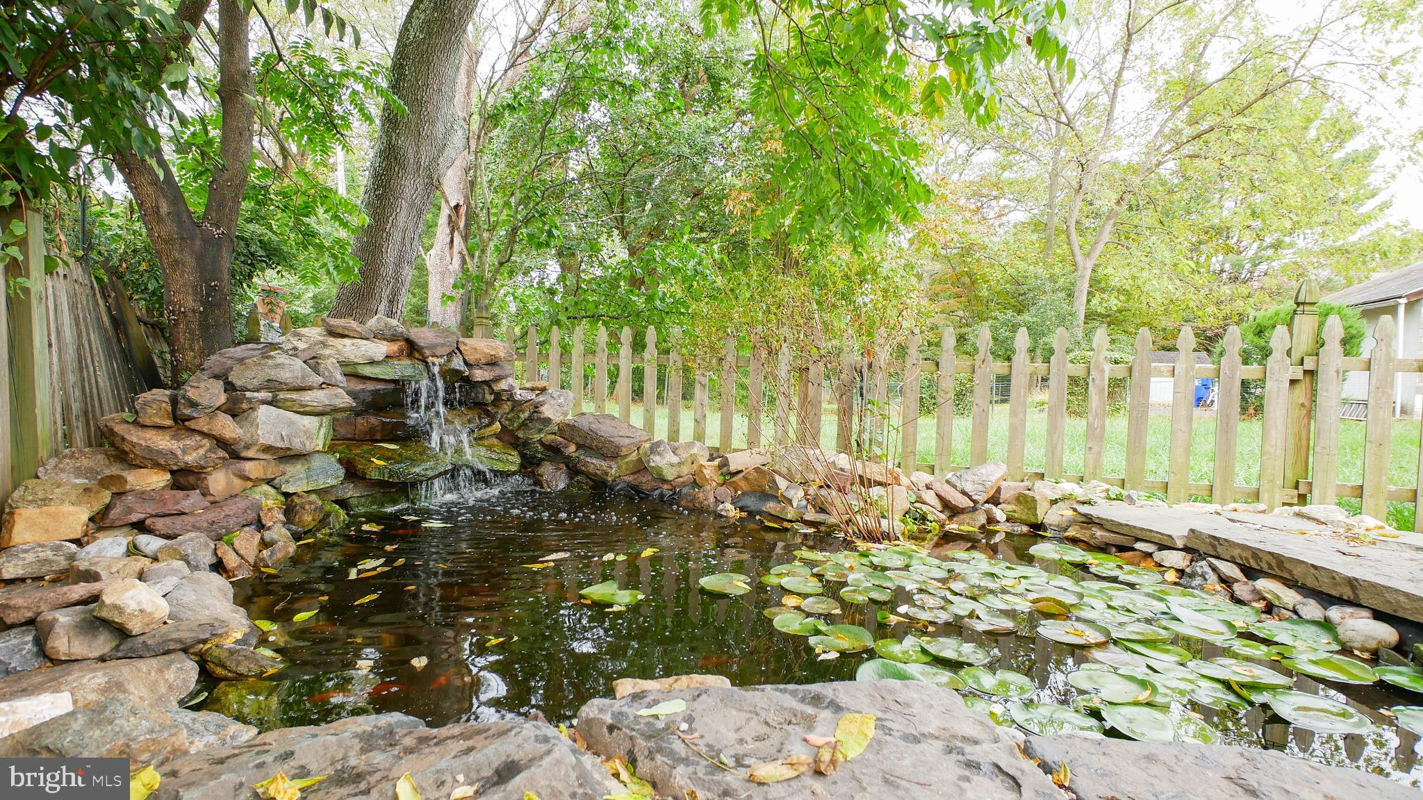427 West Waverly Road Glenside, PA 19038 - Photo 8 of 26 Fish Pond