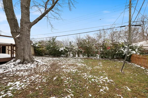 a view of a yard