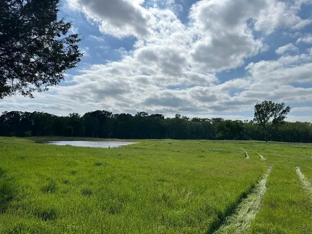 $220,000 | 4830 County Road 4830, Winnsboro, TX 75494