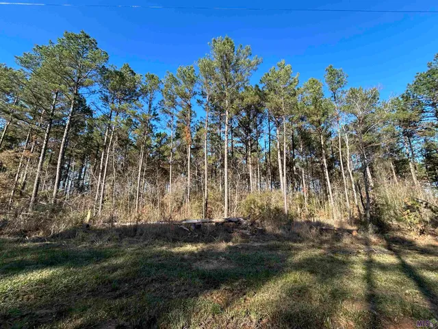 $89,900 | Lot 15 Butterbean Ridge, Livingston, LA 70754