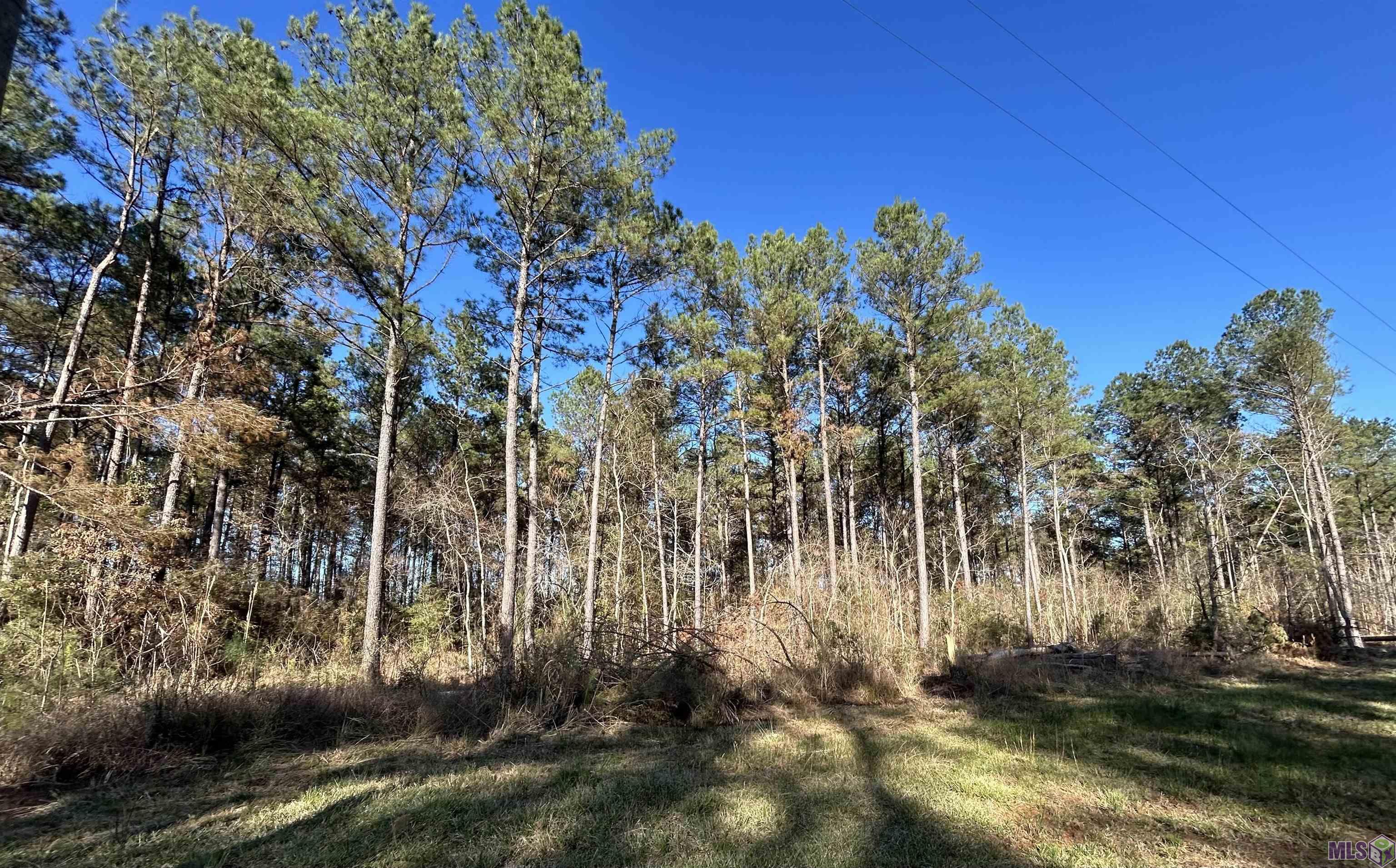 Lot 15 Butterbean Ridge Livingston, LA 70754 - Photo 2 of 2