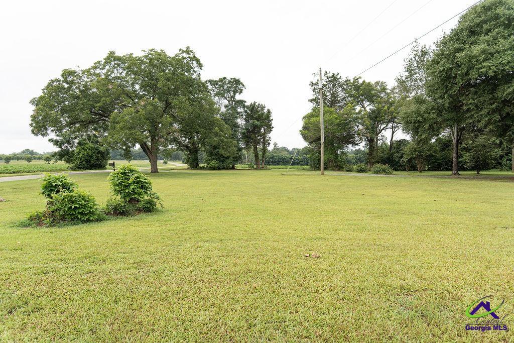 7890 Poplar Springs Road Byromville, GA 31007 - Photo 7 of 37 Gallery Image 7