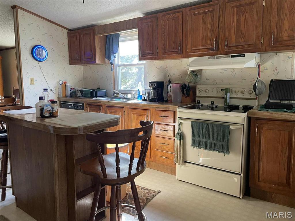 145 West Click Avenue Puxico, MO 63960 - Photo 2 of 10