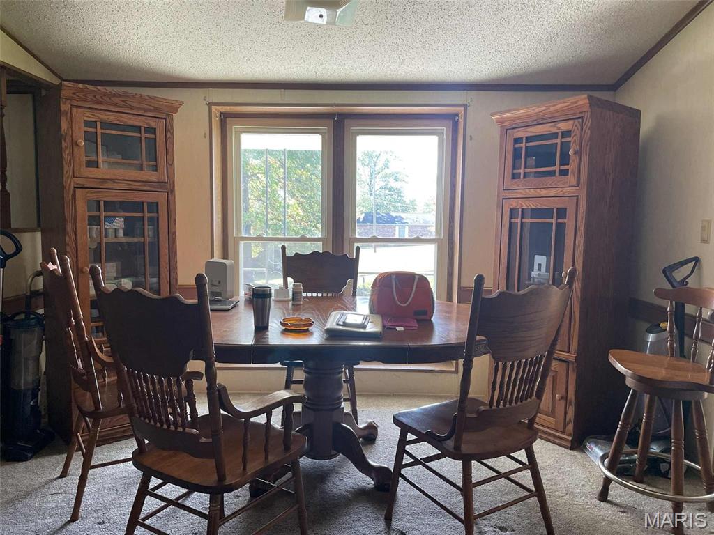 145 West Click Avenue Puxico, MO 63960 - Photo 4 of 10