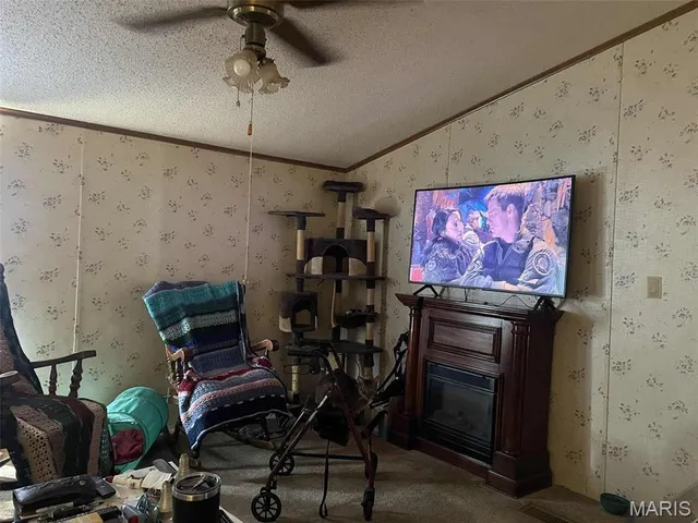 $125,000 | 145 West Click Avenue, Puxico, MO 63960