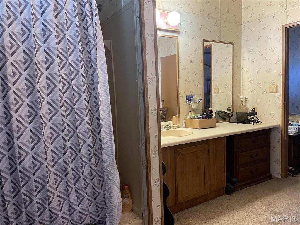 145 West Click Avenue Puxico, MO 63960 - Photo 7 of 10