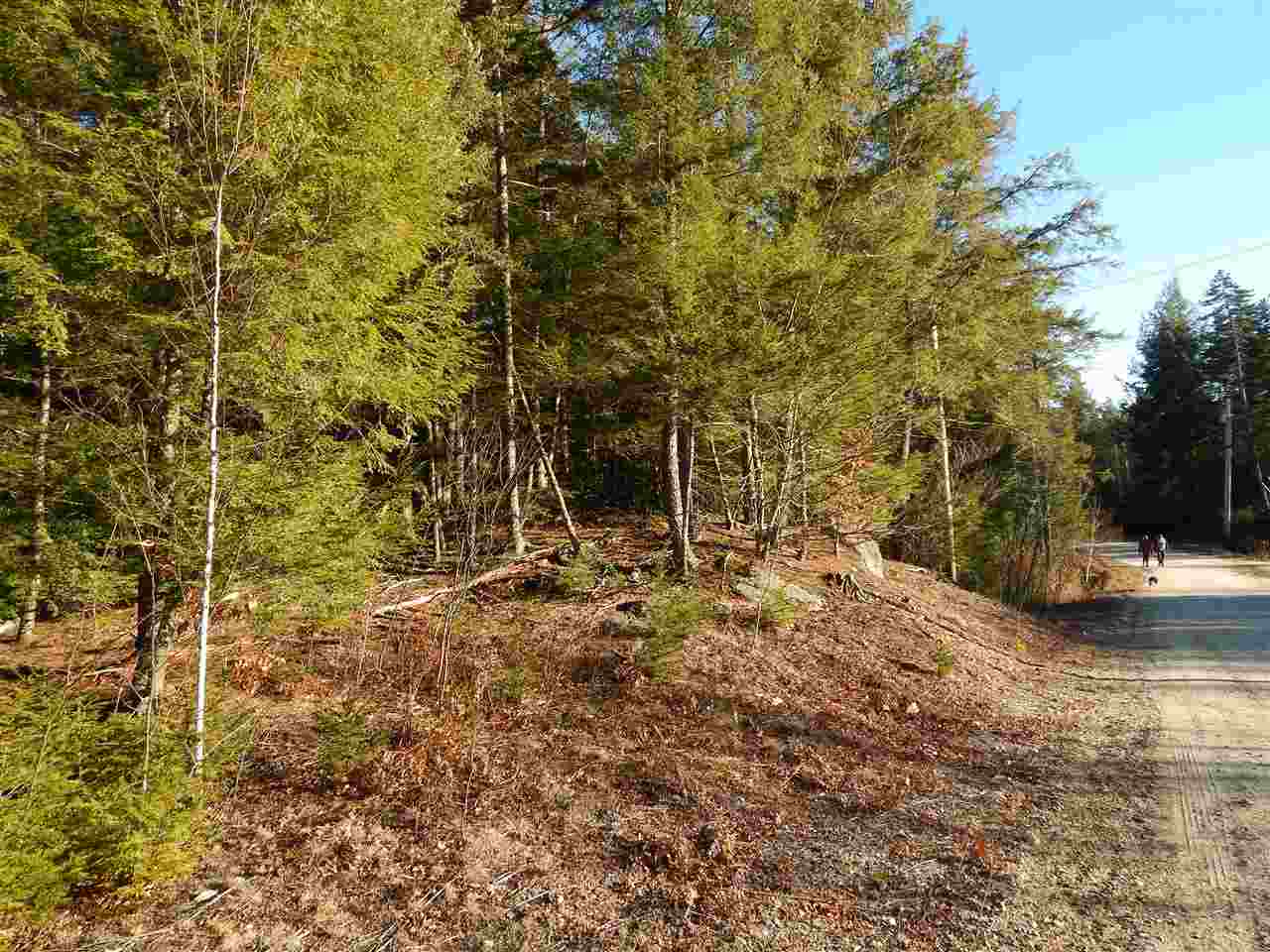110 South Ridge Road Bradford, NH 03221 - Photo 1 of 3