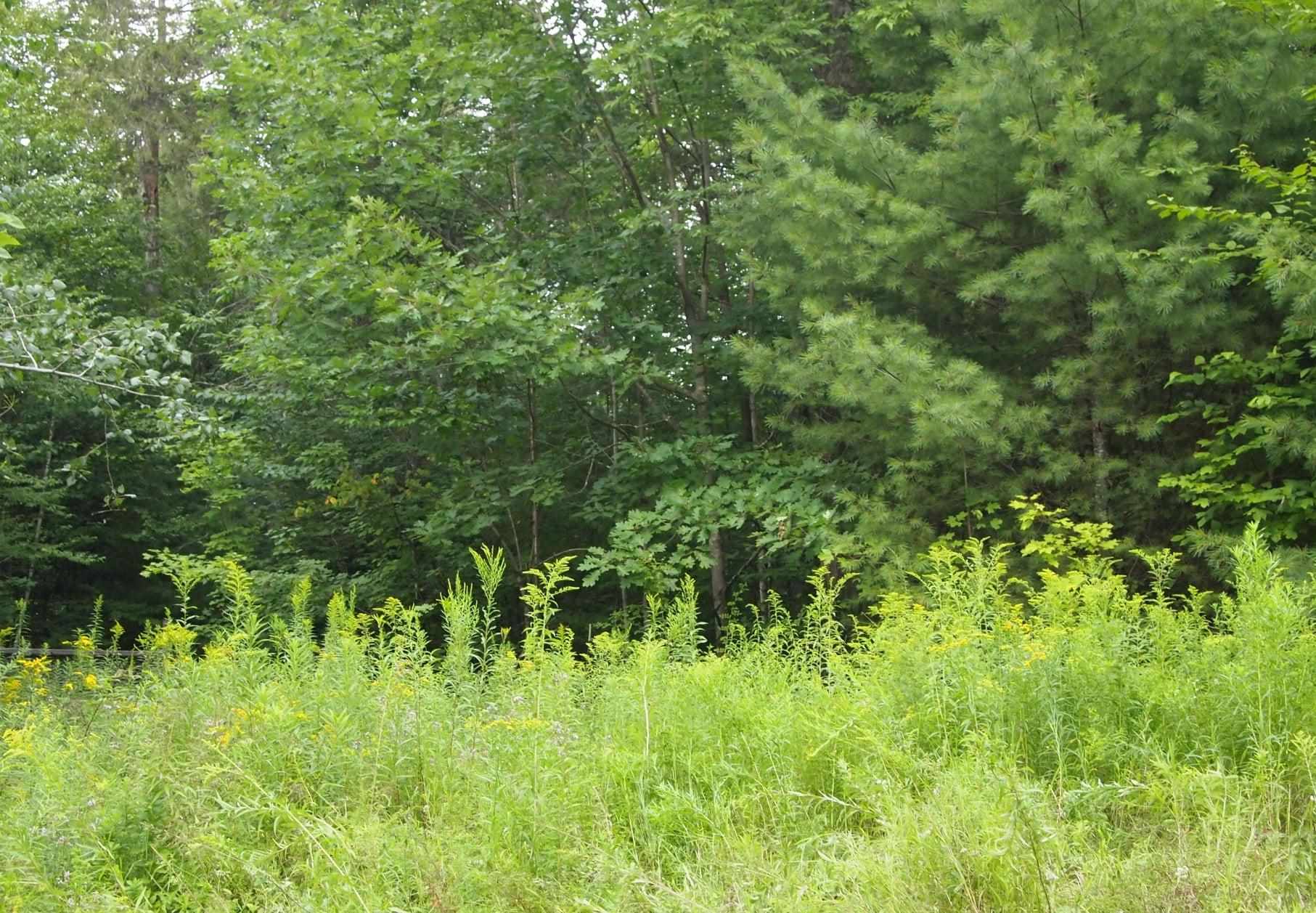 121 McLaughlin Road Acworth, NH 03607 - Photo 17 of 22