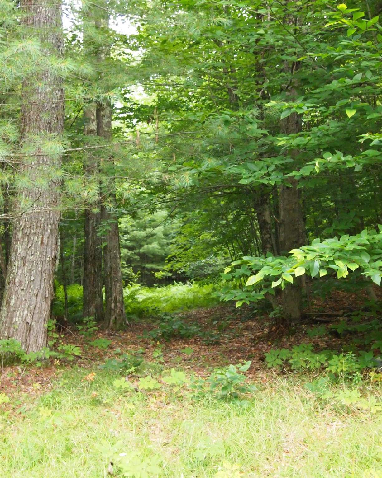 121 McLaughlin Road Acworth, NH 03607 - Photo 20 of 22