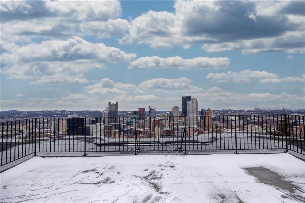 121 Grandview Avenue, Unit 8 Pittsburgh, PA 15211 - Photo 19 of 34 Shared Rooftop Patio