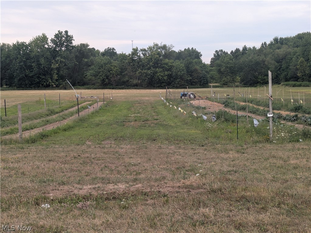 6788 North Ridge Road Madison, OH 44057 - Photo 2 of 7 Private cultivated garden plots