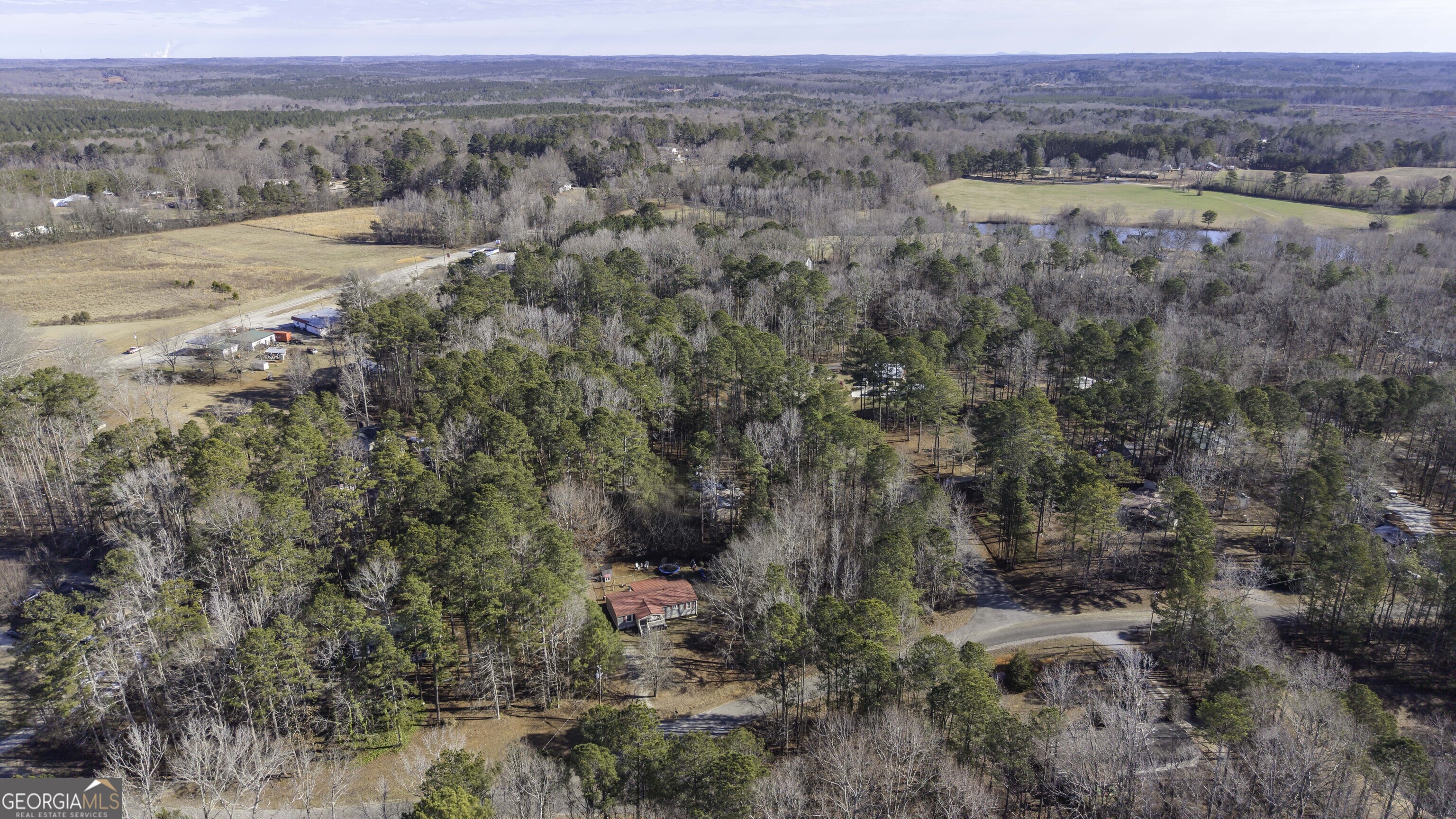 6 Cherokee Circle Buchanan, GA 30113 - Photo 8 of 35