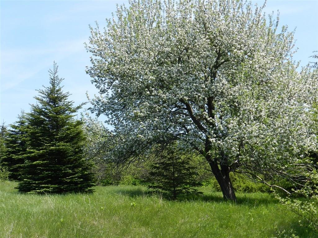 1 Fishpoint Cranberry Isles, ME 04625 - Photo 16 of 17 Photo