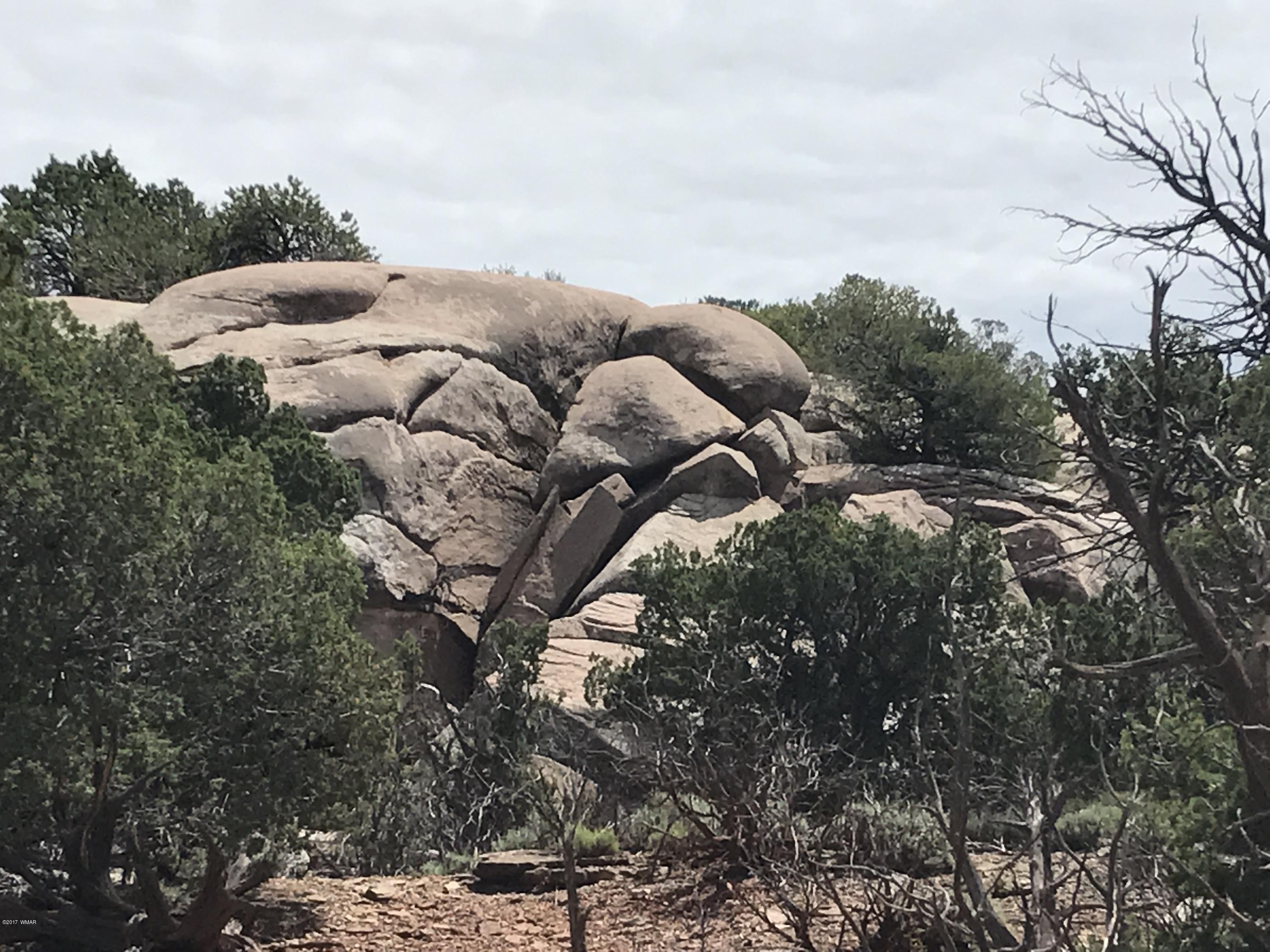 59 & 60 Aztec Road Snowflake, AZ 85937 - Photo 1 of 15