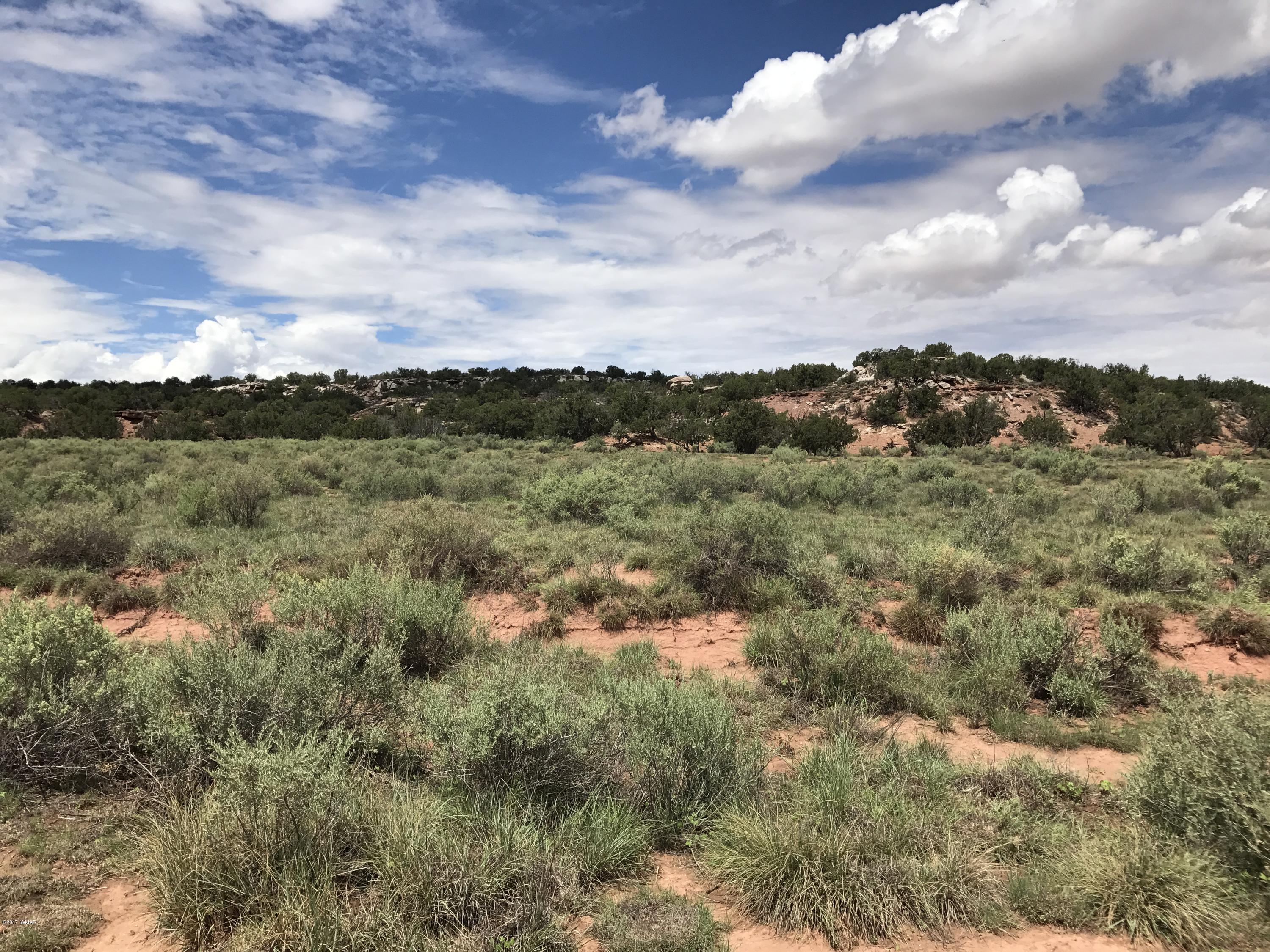 59 & 60 Aztec Road Snowflake, AZ 85937 - Photo 14 of 15
