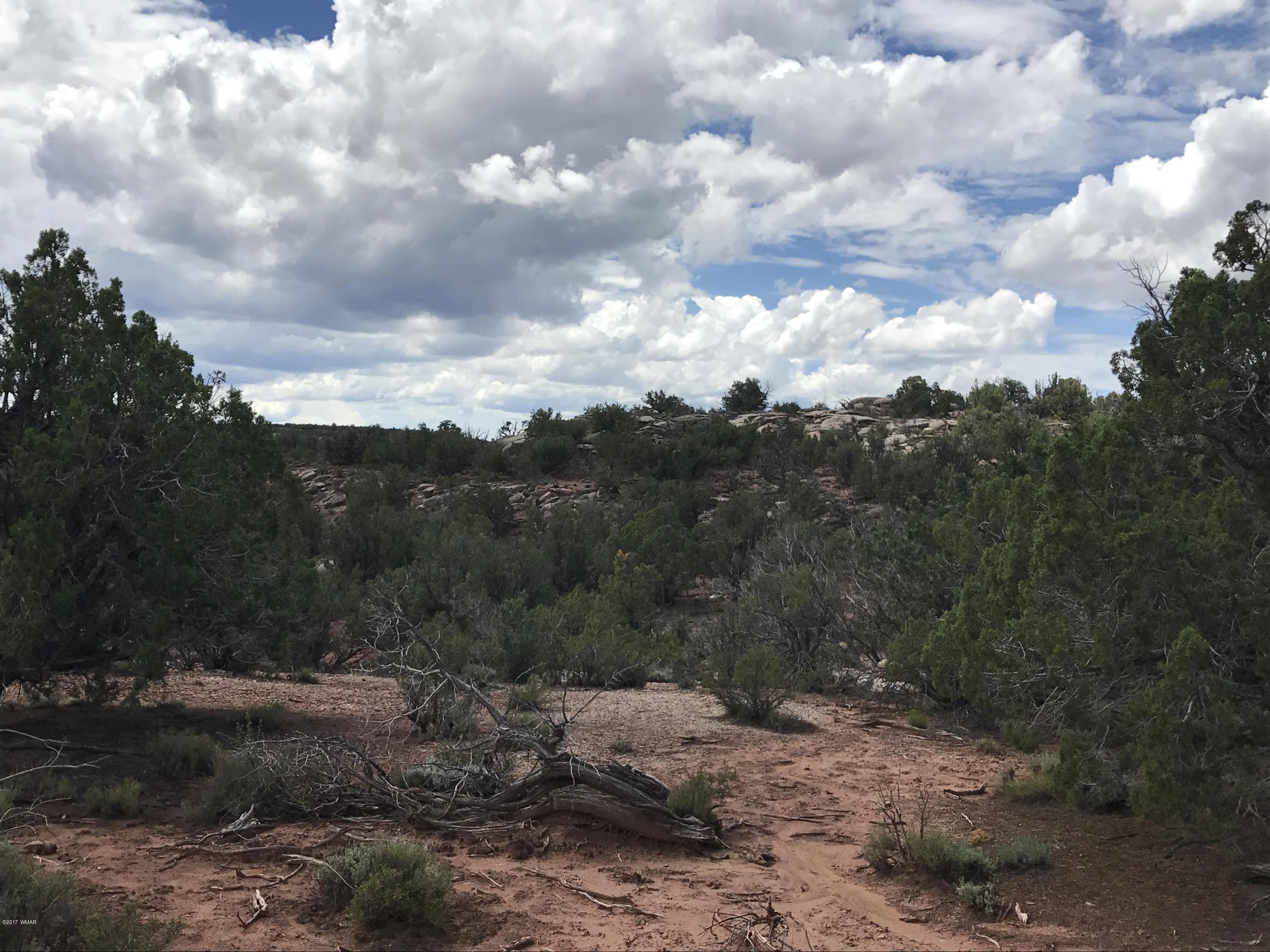 59 & 60 Aztec Road Snowflake, AZ 85937 - Photo 15 of 15