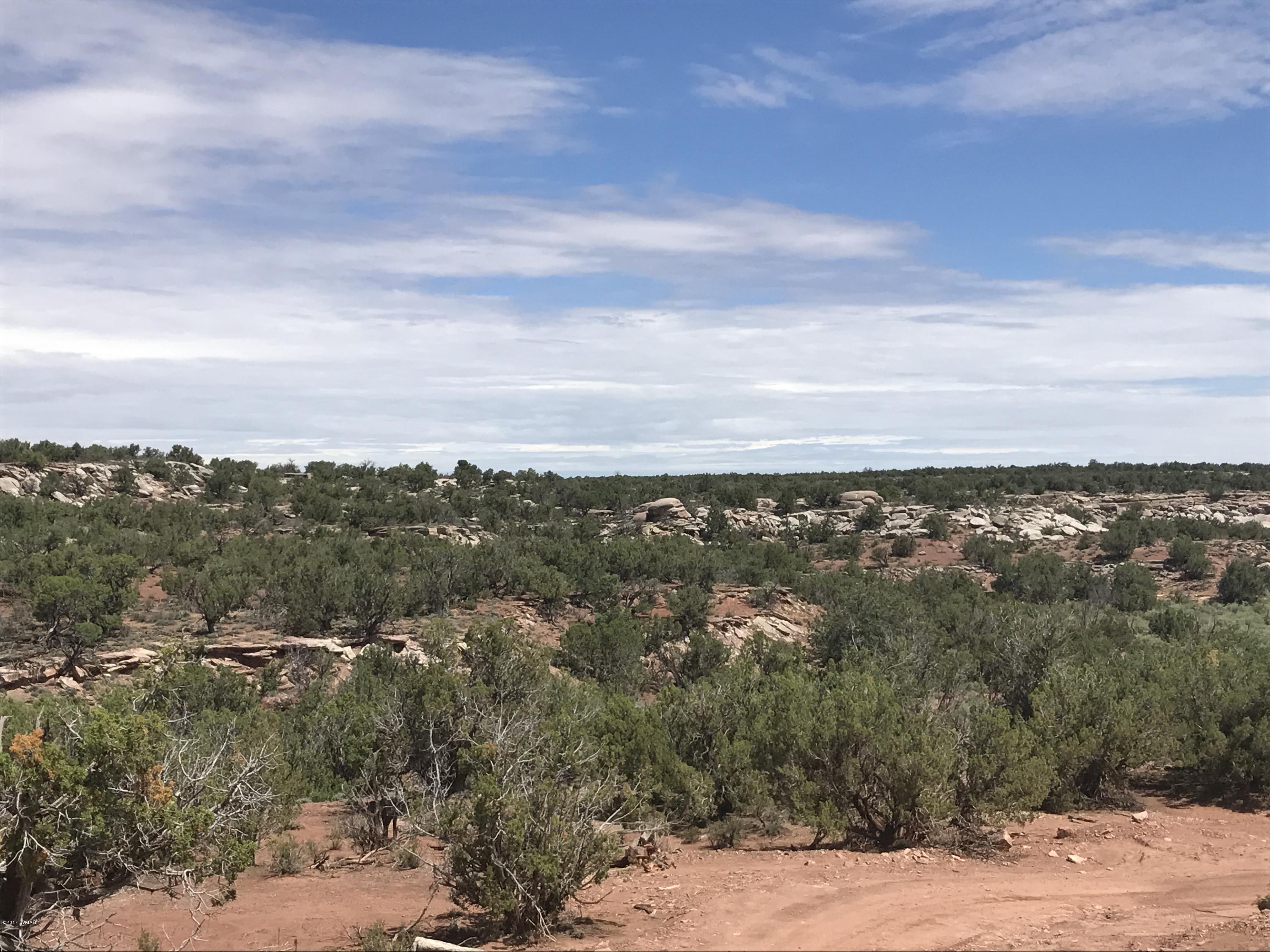 59 & 60 Aztec Road Snowflake, AZ 85937 - Photo 2 of 15