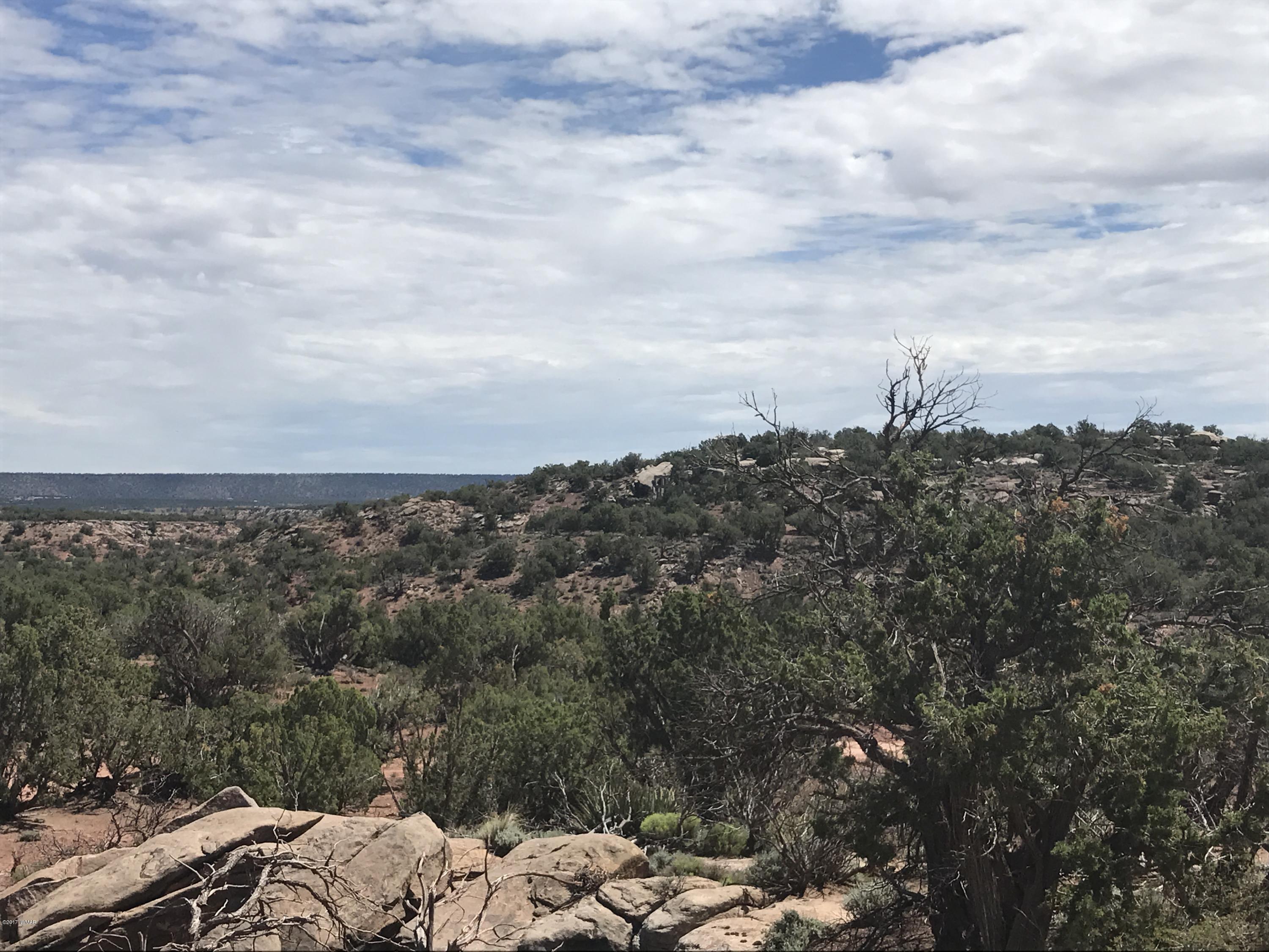 59 & 60 Aztec Road Snowflake, AZ 85937 - Photo 4 of 15