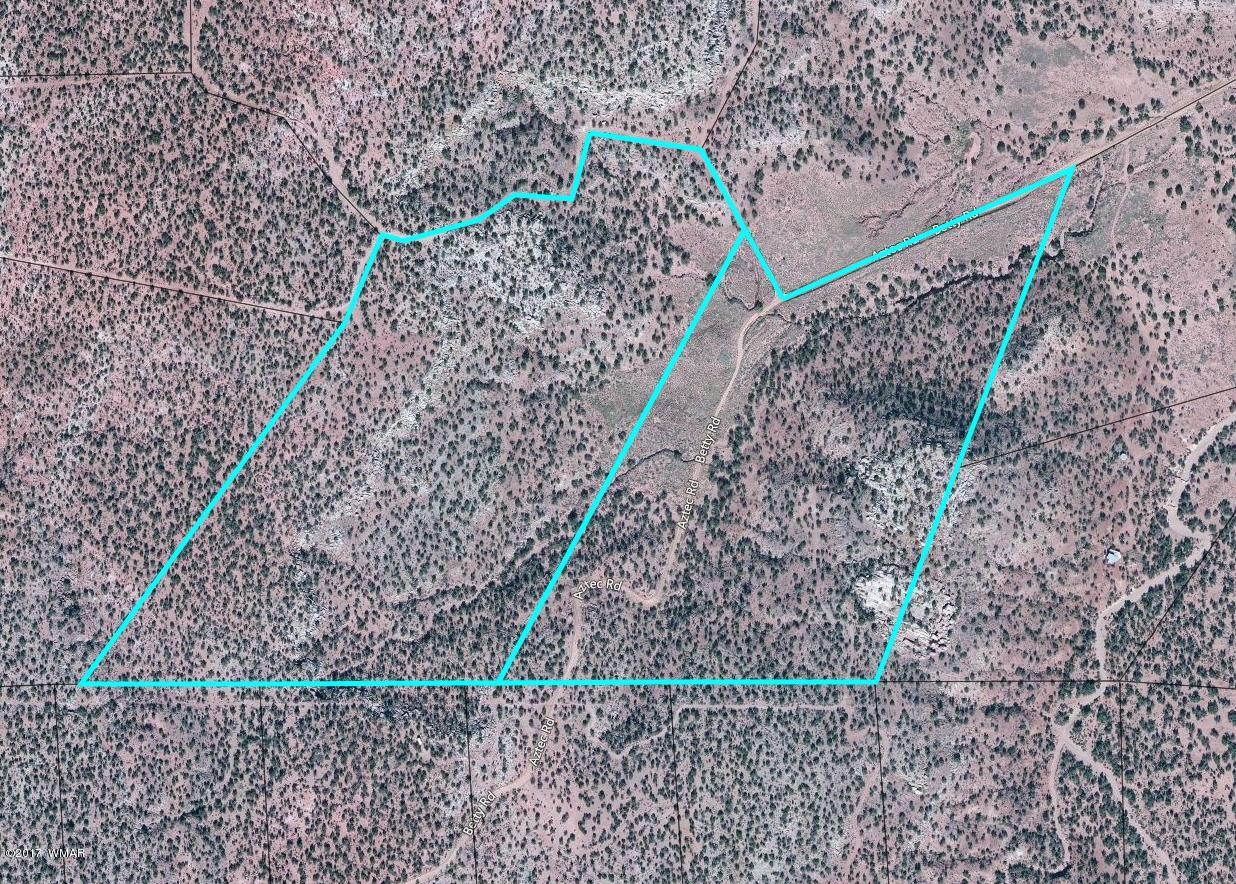 59 & 60 Aztec Road Snowflake, AZ 85937 - Photo 5 of 15
