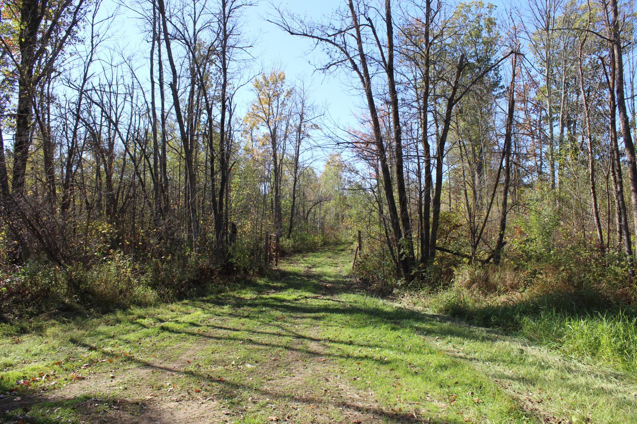 Tbd Woods Road Isle, MN 56342 - Photo 16 of 31 Gallery Image 16